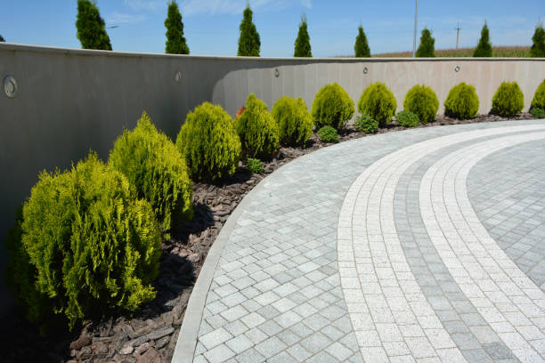 Best Driveway Paving Near Me  in Bartonsville, MD